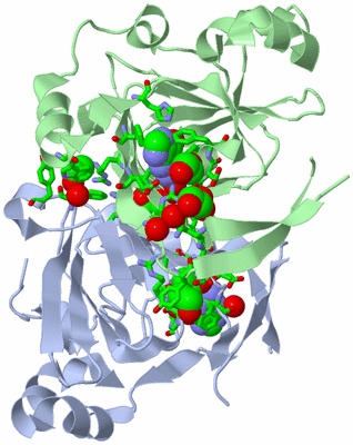 Image Biol. Unit 1 - sites