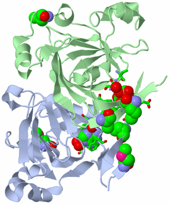 Image Biol. Unit 1 - sites