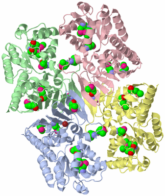 Image Asym./Biol. Unit