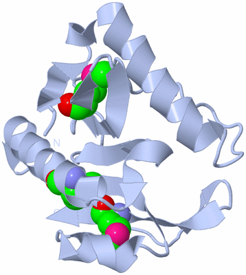 Image Biological Unit 1