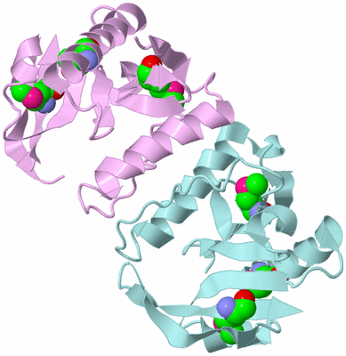 Image Biological Unit 10