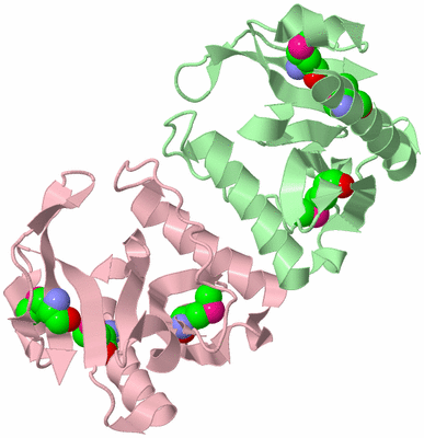 Image Biological Unit 11