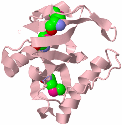 Image Biological Unit 3