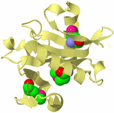 Image Biological Unit 4