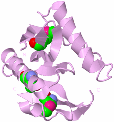 Image Biological Unit 5