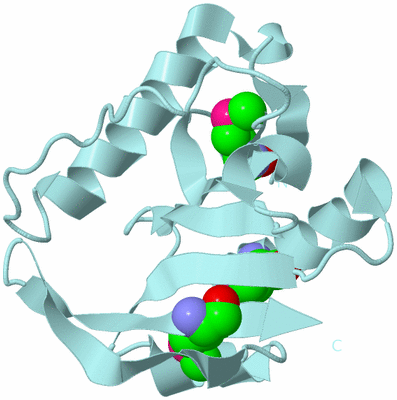 Image Biological Unit 6