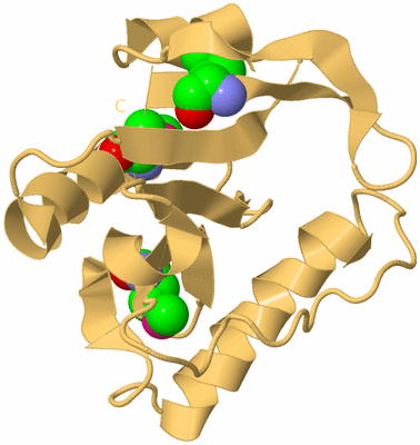 Image Biological Unit 7