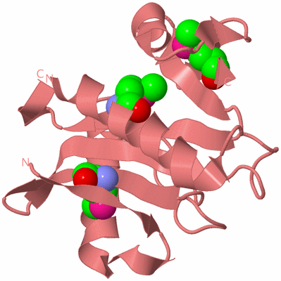 Image Biological Unit 8