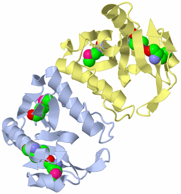 Image Biological Unit 9