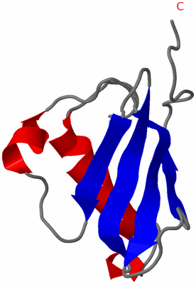Image NMR Structure - model 1