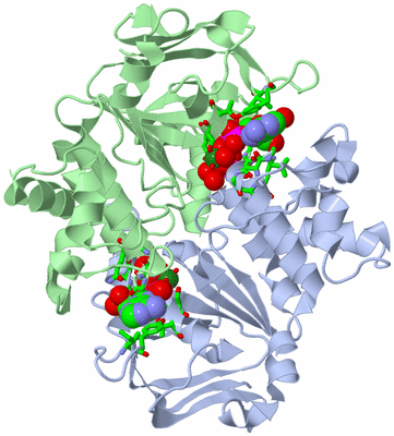 Image Biol. Unit 1 - sites