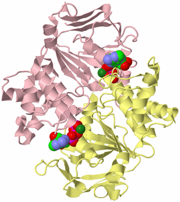 Image Biological Unit 2