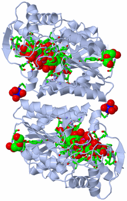 Image Biol. Unit 1 - sites