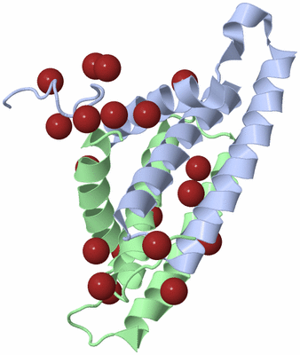 Image Biological Unit 1