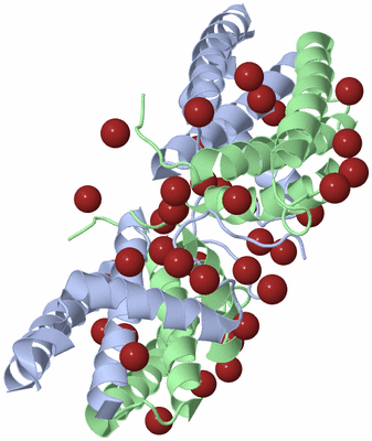 Image Biological Unit 2