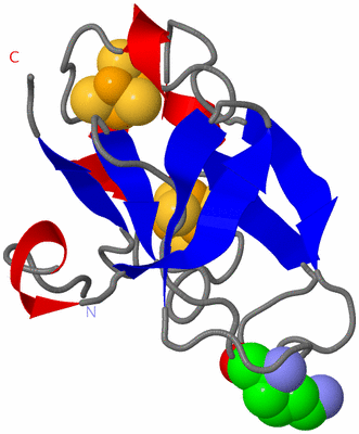 Image Asymmetric Unit