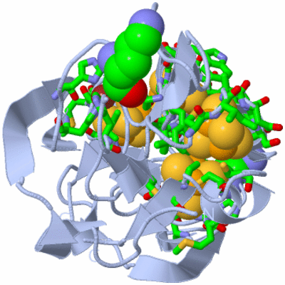 Image Biol. Unit 1 - sites