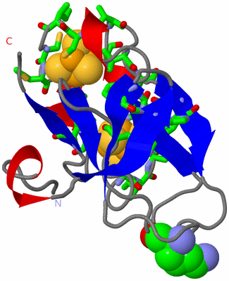 Image Asym. Unit - sites