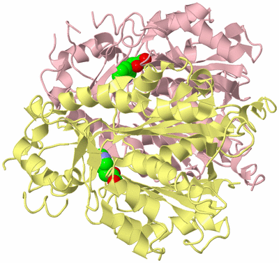 Image Biological Unit 2