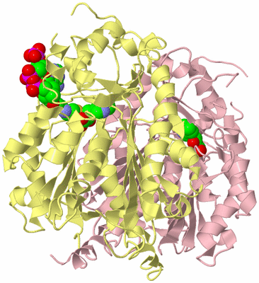 Image Biological Unit 2