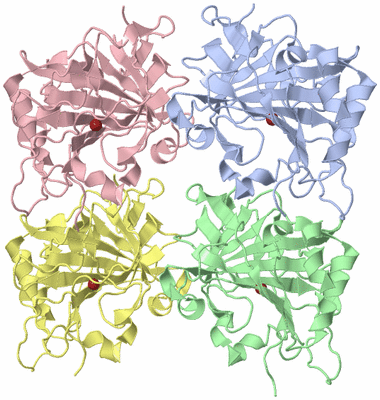 Image Asymmetric Unit