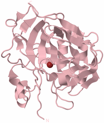Image Biological Unit 3