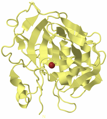 Image Biological Unit 4