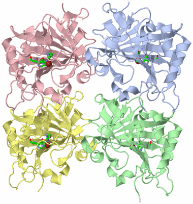 Image Asym. Unit - sites