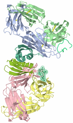 Image Asymmetric Unit