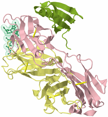 Image Biological Unit 2