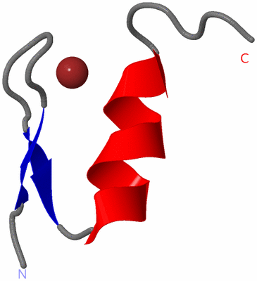 Image NMR Structure - model 1