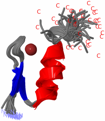 Image NMR Structure - all models