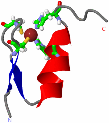 Image NMR Structure - model 1, sites