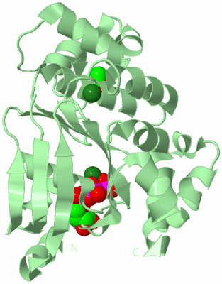 Image Biological Unit 2