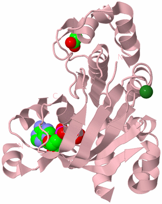 Image Biological Unit 3