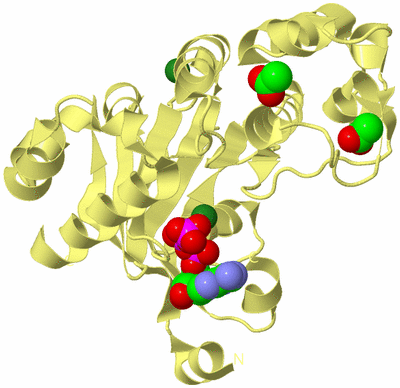 Image Biological Unit 4