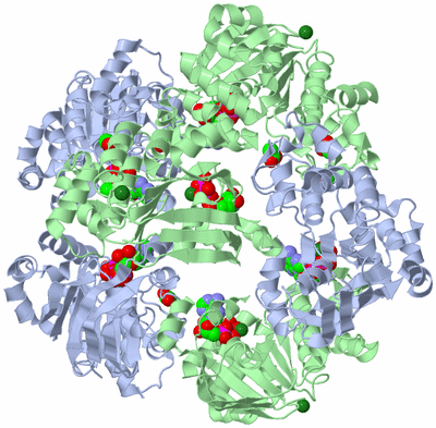 Image Biological Unit 5