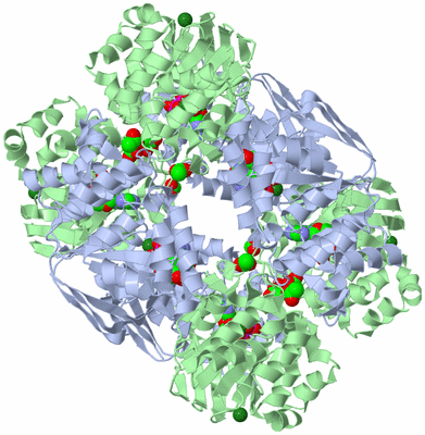 Image Biological Unit 6