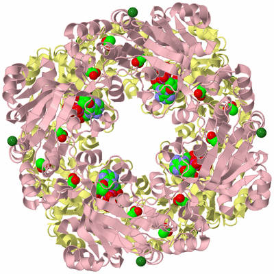 Image Biological Unit 7