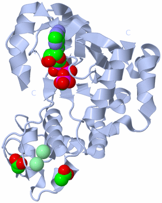 Image Biological Unit 1