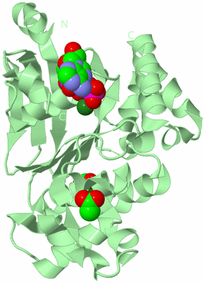 Image Biological Unit 2