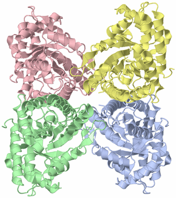 Image Biological Unit 1