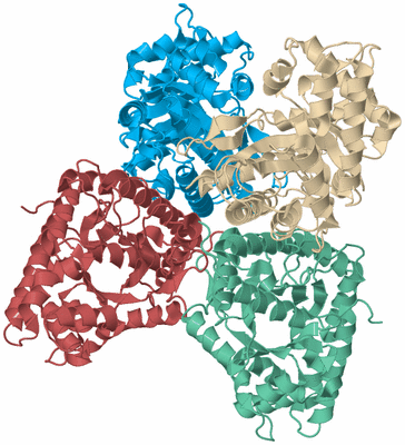 Image Biological Unit 3