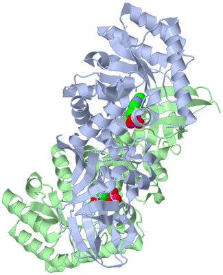 Image Asym./Biol. Unit