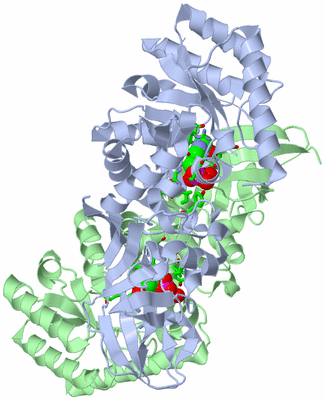 Image Asym./Biol. Unit - sites