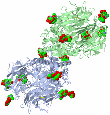 Image Biological Unit 1