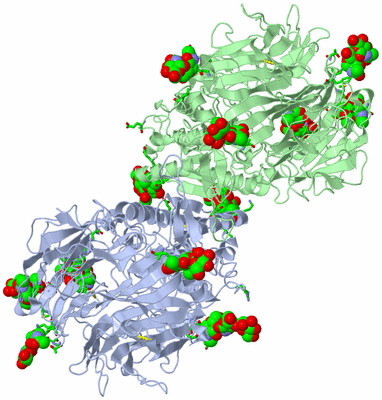 Image Biol. Unit 1 - sites