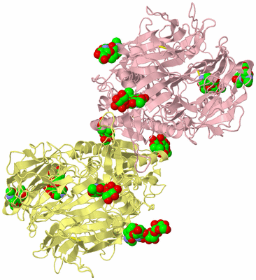 Image Biological Unit 2