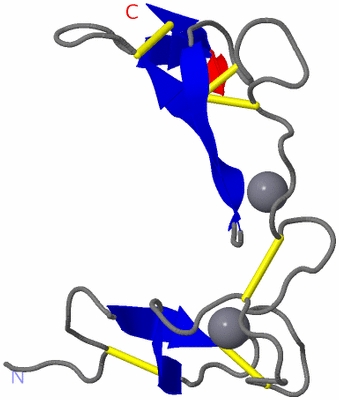 Image NMR Structure - model 1