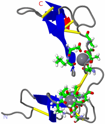 Image NMR Structure - model 1, sites